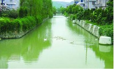 农村建了“吃”污水“吐”清水的污水处理站，生活污水不再“无家可归”